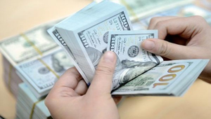 Tỷ giá USD hôm nay 2/11: Im ắng trước 'giờ G'