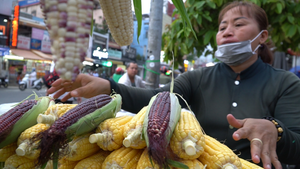 Xe bắp nữ hoàng đỏ bán trên vỉa hè kiếm cả triệu đồng mỗi ngày