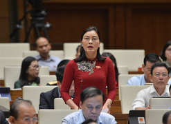 Tướng Nguyễn Thị Xuân đề nghị rà soát các dự án thuỷ điện ảnh hưởng đến rừng