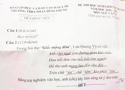 Xôn xao đề Văn chọn học sinh giỏi siêu ngắn 'Bạn màu gì?'