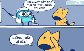 Phán quyết gây rụng rời của bác sĩ