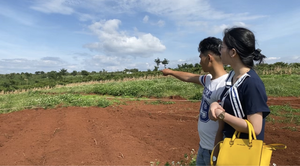 Video: Loạn tình trạng xẻ đồi phân lô, bán nền trái phép tại Lâm Đồng