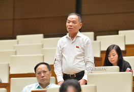 Đại biểu Lê Thanh Vân: Không nên vì lũ lụt mà đổ hết lỗi cho thủy điện