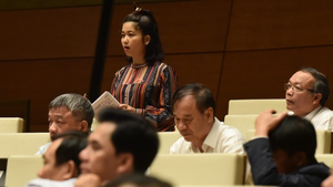 Nữ đại biểu H’Bơ Khăp: 'Bộ trưởng tiếp tục ủng hộ làm thủy điện nhỏ đúng không?'