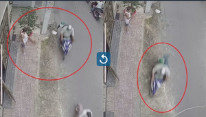 Video: 'Cẩu tặc' giật chó cưng trước mắt chủ giữa ban ngày