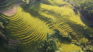 Quảng Ninh làm thế nào để đón 3 triệu khách du lịch trong Quý IV/2020?