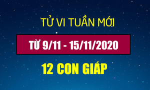 Tử vi tuần mới 9/11 - 15/11/2020 của 12 con giáp: Tý liên tục đón tài lộc