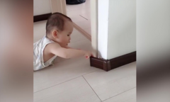Clip: Em bé vô tình phát hiện quỹ đen của phụ huynh
