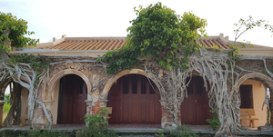 Kỳ lạ ngôi đình được ôm chặt bởi 2 cây bồ đề ở miền Tây