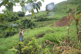 Khu vực thủy điện ở Đắk Nông nguy cơ sạt lở: Sẽ họp bàn xử lý dứt điểm