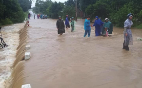 Ảnh: Bão số 12 áp sát, Phú Yên chìm trong biển nước, nhiều cây xanh ngã đổ