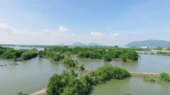 Cộng đồng mạng quyết tâm 'phủ xanh' mạng xã hội 