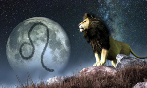 Tử vi 12 cung hoàng đạo ngày 11/11: Sư Tử được sếp khen ngợi