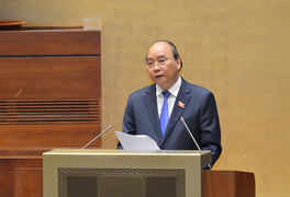 Thủ tướng: Bảo vệ nghiêm ngặt rừng tự nhiên, trồng 1 tỷ cây xanh trong 5 năm tới