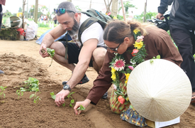 Về làng rau sạch 400 năm tuổi xem du khách vọc đất trồng rau