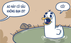 Vì sao chú vịt kinh hoàng khi biết ao sâu?