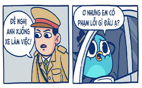 Đố vui: Vì sao cảnh sát bắt xuống xe làm việc?
