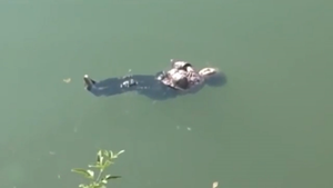 Video: Cụ bà vô ý rơi xuống sông, chắp tay trước ngực đợi người cứu giúp