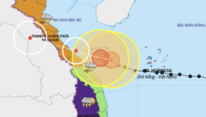 Bão Vamco giật cấp 12, đổ bộ khu vực Hà Tĩnh - Thừa Thiên Huế sáng mai