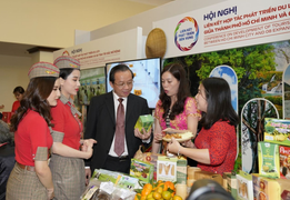 Vietjet liên kết TP.HCM phát triển các vùng du lịch nổi bật khắp Việt Nam