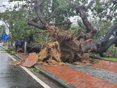 TRỰC TIẾP: Bão số 13 đổ bộ đất liền, Huế - Đà Nẵng mưa to gió giật, phố ngập úng