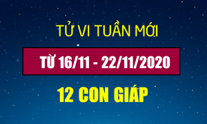 Tử vi tuần mới 16/11 - 22/11/2020 của 12 con giáp: Tuổi Sửu tình duyên viên mãn