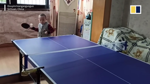 Video: Cậu bé 3 tuổi chơi bóng bàn điêu luyện như VĐV chuyên nghiệp ở Trung Quốc