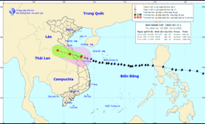 Bão số 13 ở vùng biển các tỉnh Quảng Bình đến Thừa Thiên - Huế