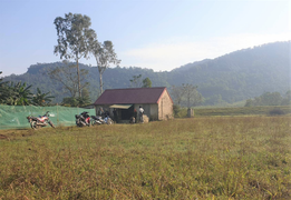 Bố chồng đánh dã man con dâu và 2 cháu nguy kịch sẽ bị xử lý thế nào?