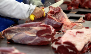 Trung Quốc lại phát hiện virus SARS-CoV-2 trên thịt đông lạnh 