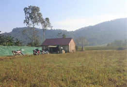 Bố chồng đánh con dâu và 2 cháu dã man khai gì?