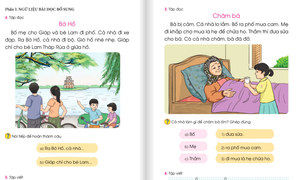 'Đừng chỉnh sửa sách Tiếng Việt 1 bộ Cánh Diều theo kiểu chắp vá'