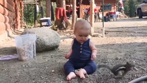 Clip: Em bé khóc lớn vì bị sóc cướp đồ ăn