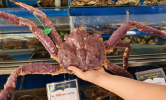 Sự thật về cua hoàng đế giá rẻ 780.000 đồng/kg