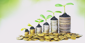 Có 5 tỷ đồng, nên 'bỏ trứng' vào giỏ nào?