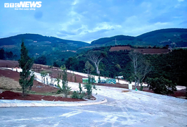 Loạn tình trạng xẻ đồi phân lô, Lâm Đồng mạnh tay 'siết' thị trường