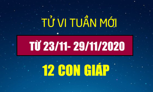 Tử vi tuần mới 23/11- 29/11/2020 của 12 con giáp: Tuổi Tý 'khổ trước sướng sau'