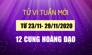 Tử vi tuần 23/11- 29/11/2020 12 cung hoàng đạo: Sư Tử tài chính khả quan