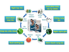 BoniHair của Mỹ – Giải pháp trẻ hóa mái tóc bạc và rụng