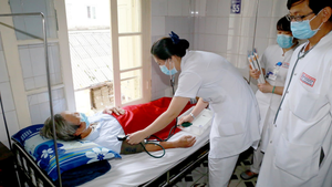 Ca mắc Whitmore sau lũ ở Quảng Trị tăng đột biến, 4 người chết