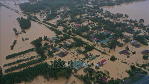 Ngành Điện Thủ đô hướng về miền Trung trong tháng tri ân khách hàng