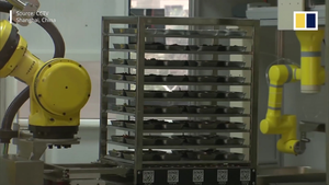 Video: Trường học Trung Quốc sử dụng robot nấu ăn mùa COVID-19