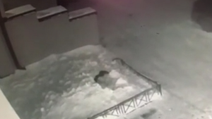 Video: Rơi từ tầng 4 xuống đất, bé gái 6 tuổi may mắn thoát nạn nhờ đống tuyết