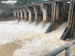 Nghệ An dừng cấp phép dự án thủy điện mới