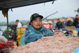 Được mùa ruốc biển, ngư dân Hà Tĩnh kiếm tiền triệu mỗi ngày