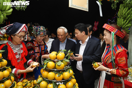 Ảnh: Du khách đến Hà Giang nô nức thưởng thức ẩm thực, đặc sản 8 tỉnh Tây Bắc