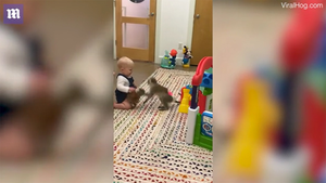 Clip: Em bé 'chiến đấu' với chú khỉ để giành đồ chơi