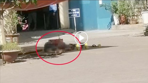 Người đàn ông rơi từ tầng cao chung cư ở Hà Nội xuống đất thiệt mạng