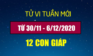 Tử vi tuần mới 30/11 - 6/12/2020 của 12 con giáp: Tuổi Tý sự nghiệp khởi sắc