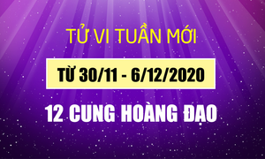 Tử vi tuần 30/11 - 6/12/2020 12 cung hoàng đạo: Thiên Bình vận đào hoa nở rộ